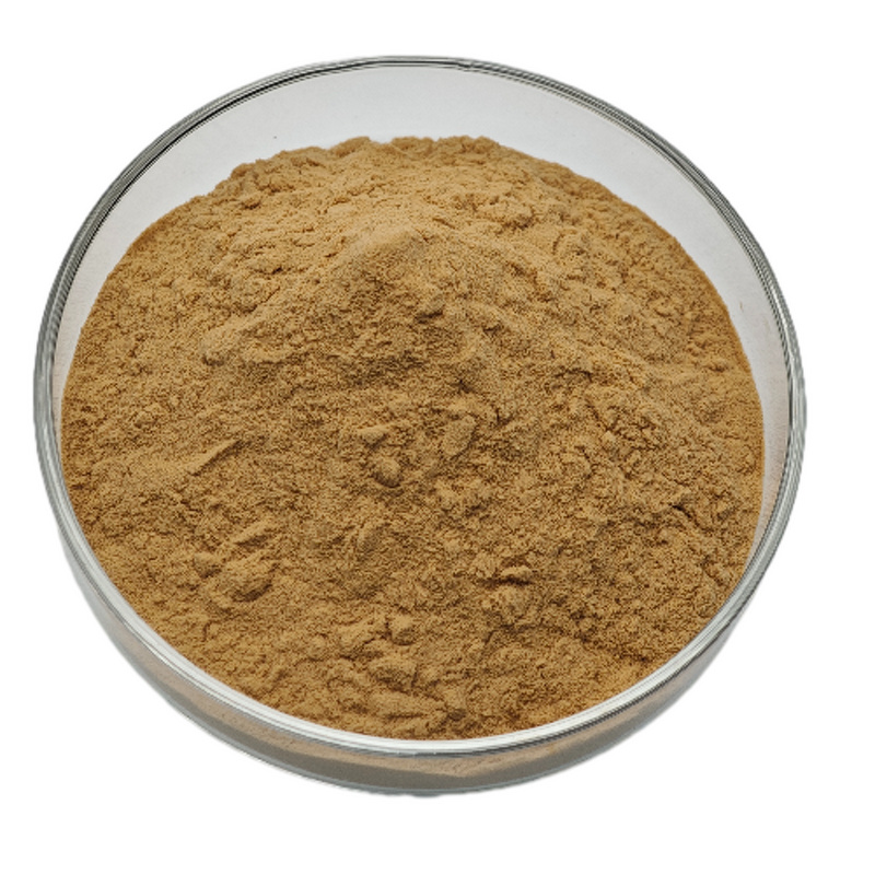 Goji Berry Fruit Juice Powder Manufacturer - 100% Nature Wolfberry Extract Freeze-dried