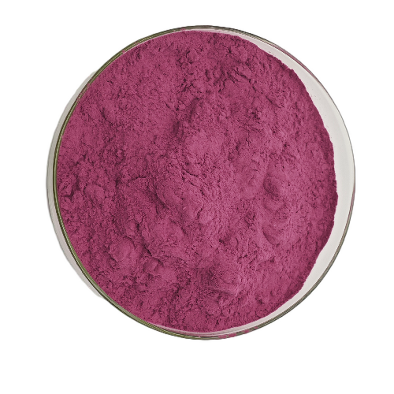 Pitaya Fruit Powder Manufacturer - HUAWAVE Wholesale Price Pure 100% High Quality