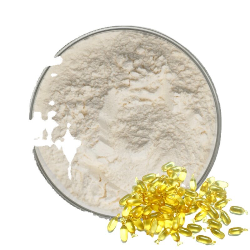 Omega-3 Fish Oil Powder Manufacturer - Bulk Food Grade Microencapsulated 10% Dha Epa