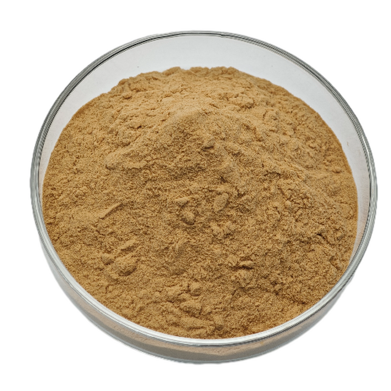 Goji Berry Fruit Juice Powder Manufacturer - 100% Nature Wolfberry Extract Freeze-dried