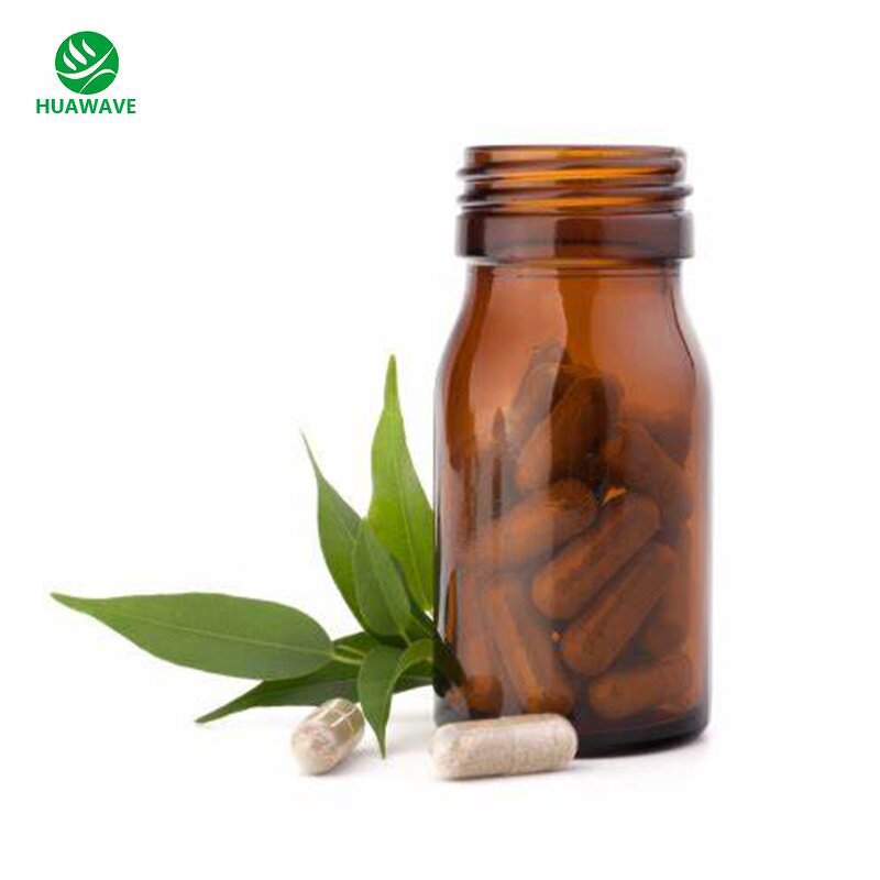 Ajuga Turkestanica Extract Manufacturer - OEM Natural 40% Turkesterone Capsule