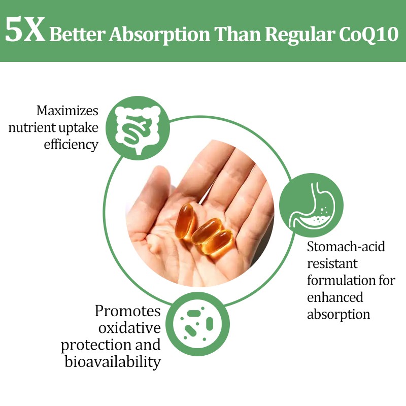 Turmeric Curcumin Capsules Supplier - Organic Ginger Beauty Enhancing Custom