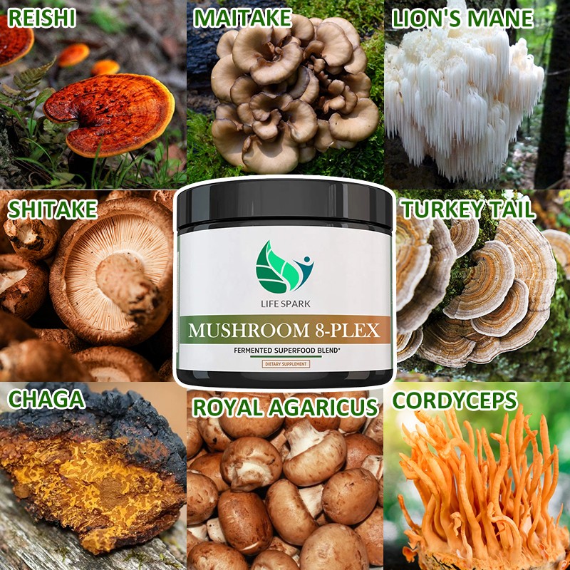 Reishi Aloe Vera Powder Factory - Organic Food Grade Immune Health Private Label