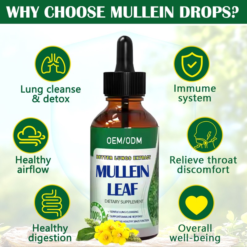 Mullein Leaf Supplement Supplier - Herbal Respiratory Function Custom Formula