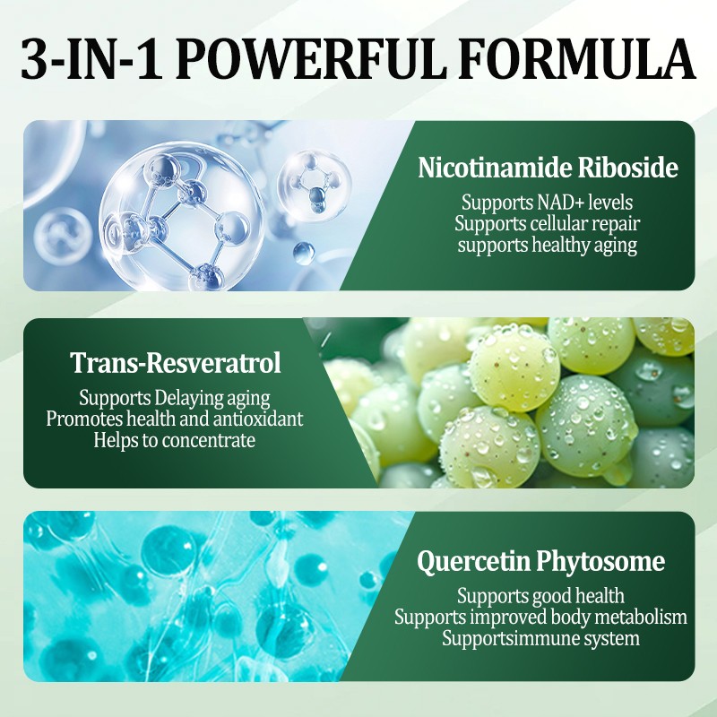 Prebiotic Probiotics Capsules Factory - Women's Gut Health Beauty Custom