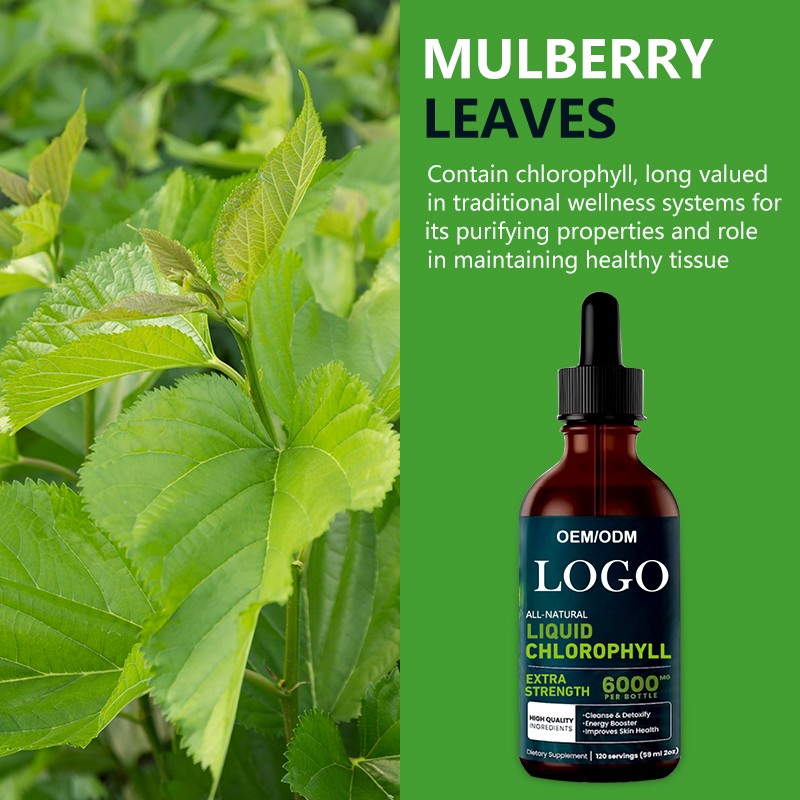 Chlorophyll Liquid Drops OEM Factory - Pregnant Women Safe Debloating Custom