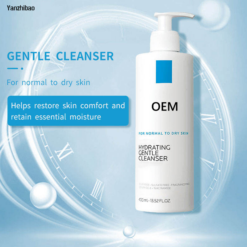 Facial Cleanser Manufacturer - Gentle Daily with Niacinamide Ceramide for Adult Skin Deep Cleansing Brightening