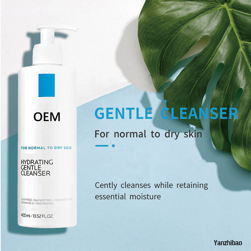 Facial Cleanser Manufacturer - Gentle Daily with Niacinamide Ceramide for Adult Skin Deep Cleansing Brightening