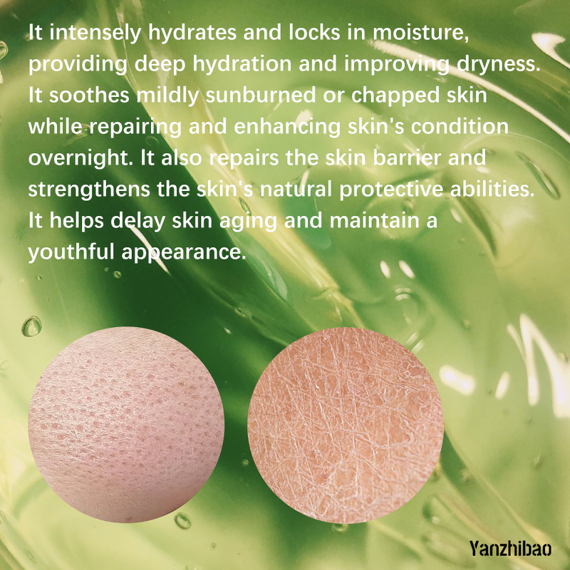 Face Mask Manufacturer - Overnight with Aloe Vera Hyaluronic Acid for Night Repair Hydrating Moisturizing