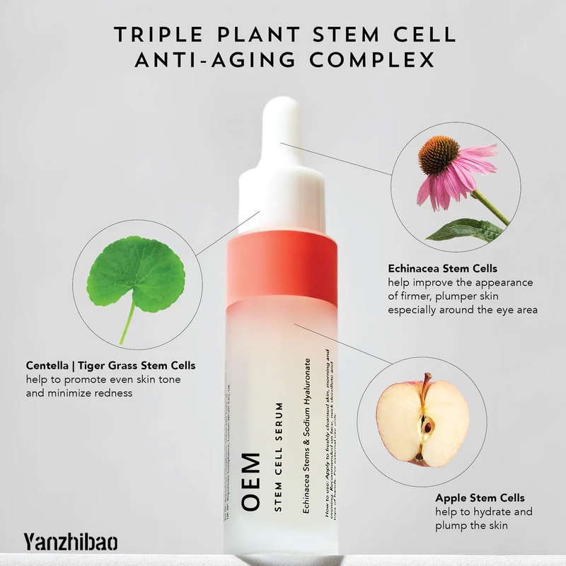 Face Serum Manufacturer - Stem Cell with Triple Stem Cell Complex for Aging Signs Minimization Soothing Botanicals