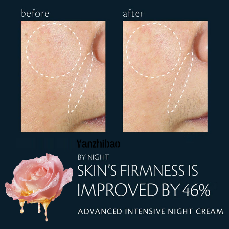 Face Cream Manufacturer - Night for Deep Hydration Skin Barrier Repair Firmness Elasticity Enhancement
