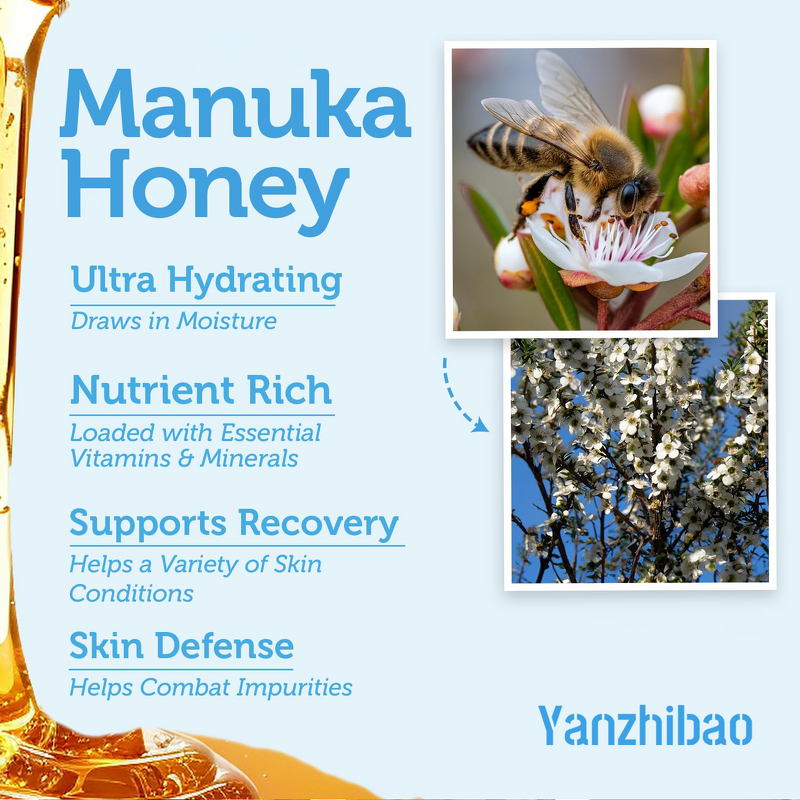 ScrubMask Manufacturer - OEM Honey Walnut Gentle Microdermabrasion for Smooth Soft Balance Moisturizing Exfoliation