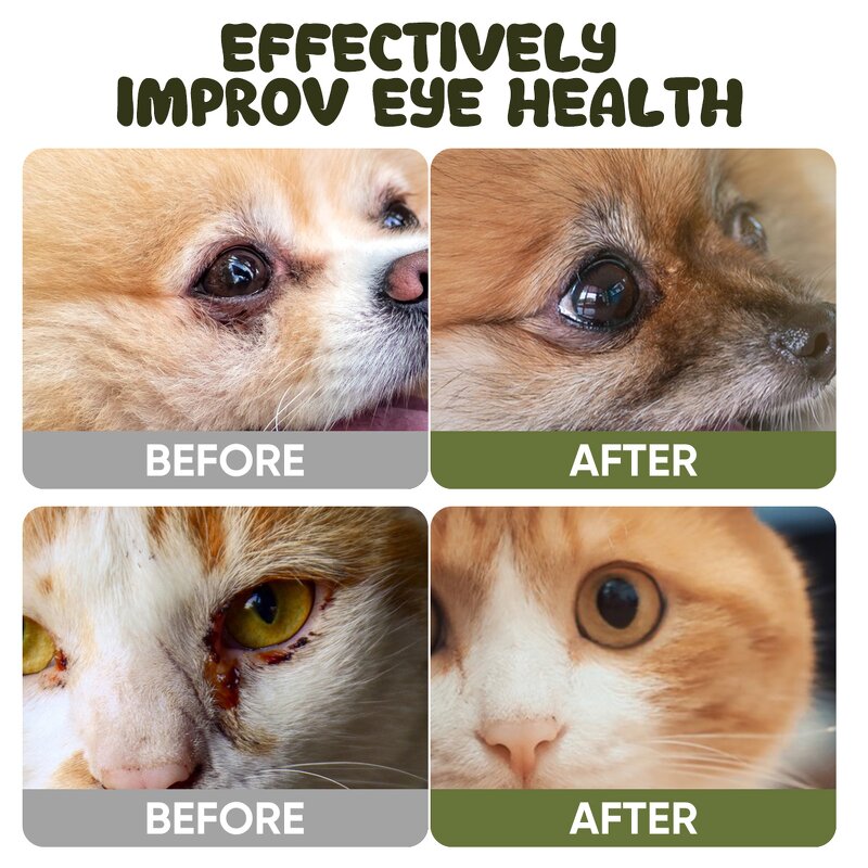 Pet Wipe Manufacturer - Eye Wipes for Dogs Cats Eye Gunk Tear Stain Removal 80g/300ml Private Label