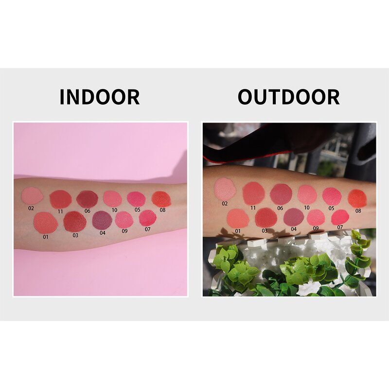 Lip & Cheek Makeup Manufacturer - No Logo 2 in 1, 11 Colors Lip Tint, Long Lasting Smudge-Resistant Matte