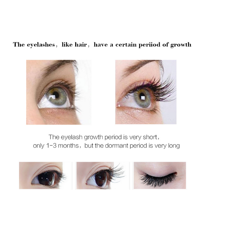 Eyelash Serum Manufacturer - Wholesale Custom, Oil Free Vegan 100% Natural Organic, OEM Private Label