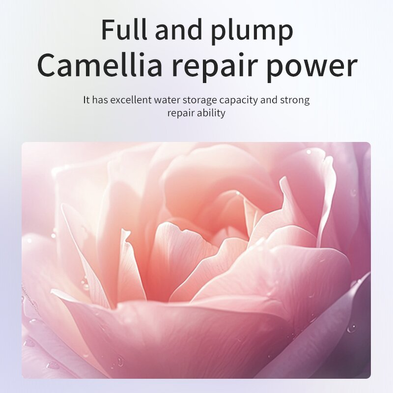 Facial Mask Manufacturer - Popular Camellia Repairing Organic Plant Extract Dryness Moisturizing 10pieces/box