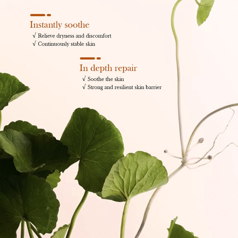 Centella Skin Care Set Manufacturer - Comprehensive Repair Winkle Travel Korean Asiatica Private Label