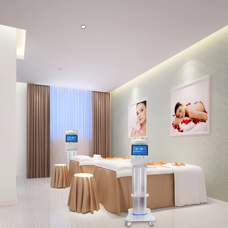 Beauty Equipment Cart Supplier - Acrylic Transparent Salon