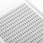 Pre Fanned Eyelashes