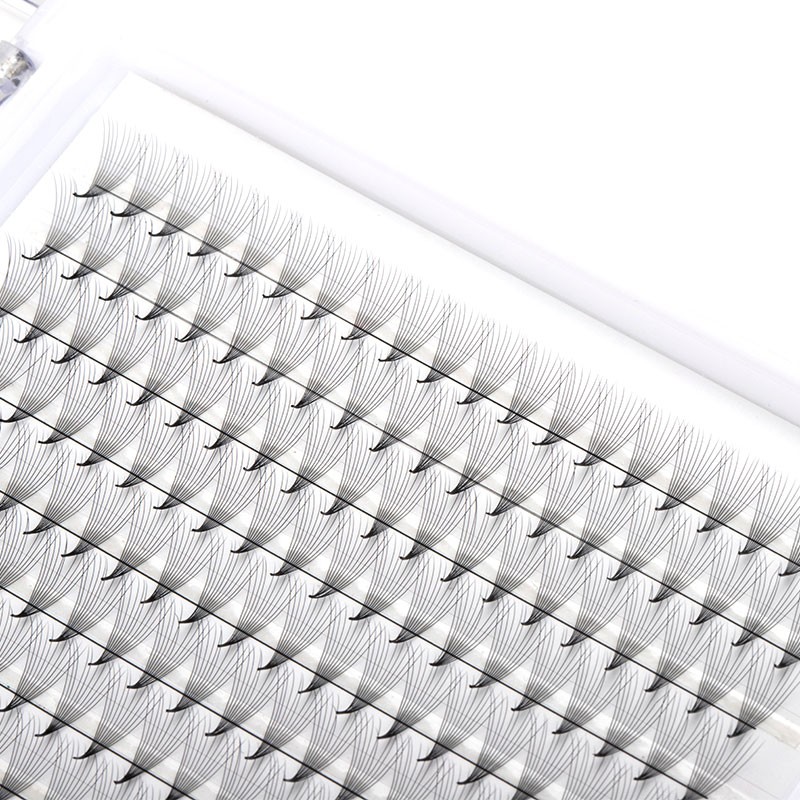 Eyelash Extension Factory - OEM 10D Apical Root 0.07 Base Fan Cluster