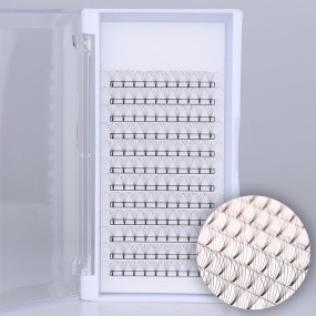 Eyelash Extension Supplier - OEM Short Root 6D Black 0.07mm BC Curl