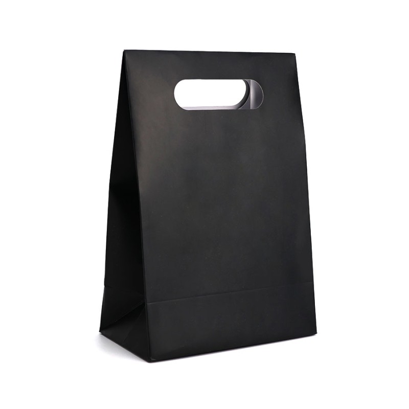 Paper Bags Manufacturer - OEM Custom Printed Liquid Form Mailer Print