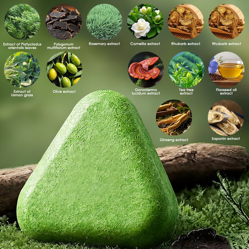 Hair Soap Manufacturer - 12 Herbal Plant Platycladus Leaf - Amino Acid Hair Strengthening