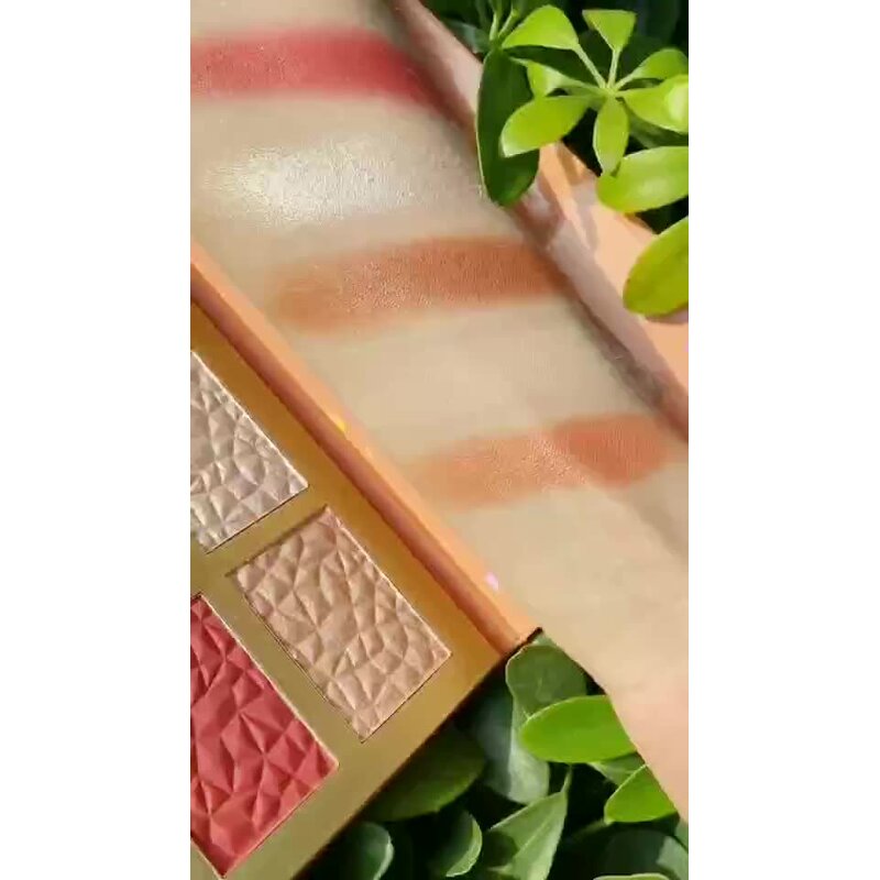 Makeup Set Manufacturer - Private Label - 6 Shade 2 in 1 Highlighter Blush for Dark Skin