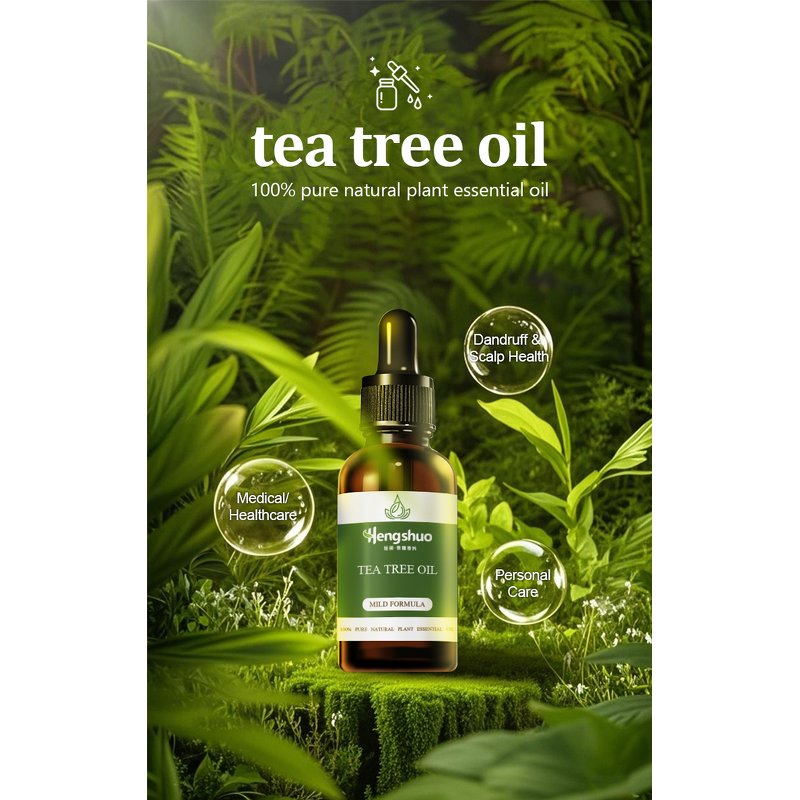 Tea Tree Essential Oil Manufacturer - High Quality Pure Natural Undiluted Wholesale & OEM