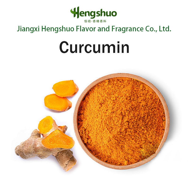 Curcuma Extract Powder Manufacturer - Factory Price Bulk Natural 95% Curcumin Turmeric