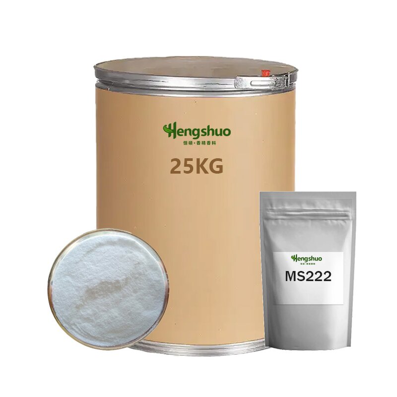 WS-23 Cooling Agent Powder Manufacturer - 99% Purity High Concentration for Food Pharma Fragrance