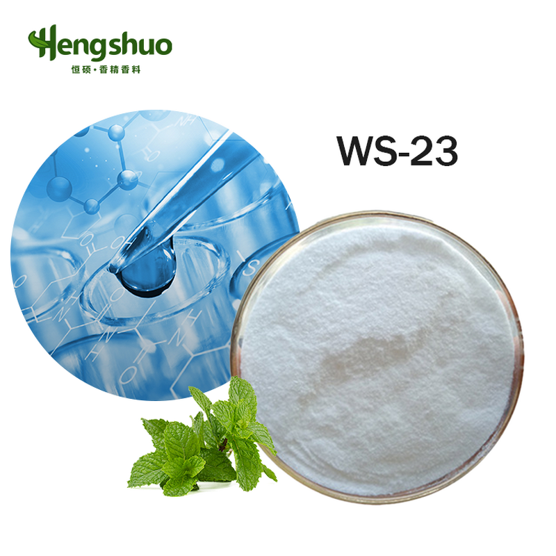 WS-23 Powder Manufacturer - Wholesale Mint Fragrance White Food Grade Cooling Agent for Industrial Flavor