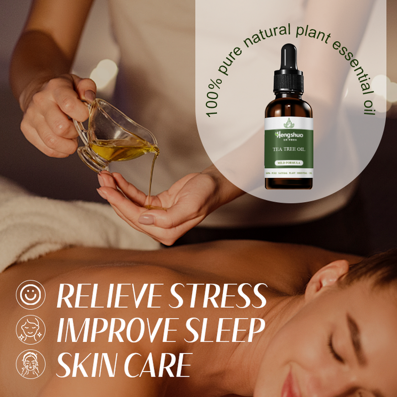 Tea Tree Essential Oil Manufacturer - High Quality Pure Natural Undiluted Wholesale & OEM