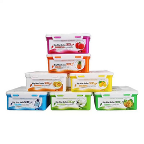 Car Air Freshener Manufacturer - 2025 New Style for Women Purifying and Eliminating Odors