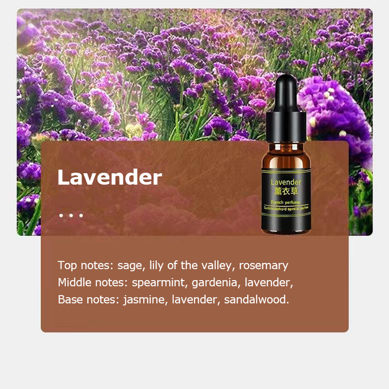 Car Aromatherapy Manufacturer - Advanced Sense Car Ornaments 160ML High-grade Fragrance Lasting Light