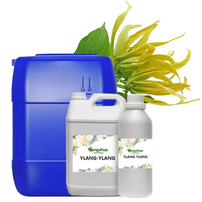 Ylang-Ylang Fragrance Oil Manufacturer - High Concentrated Long Lasting for Candle Soap Perfume