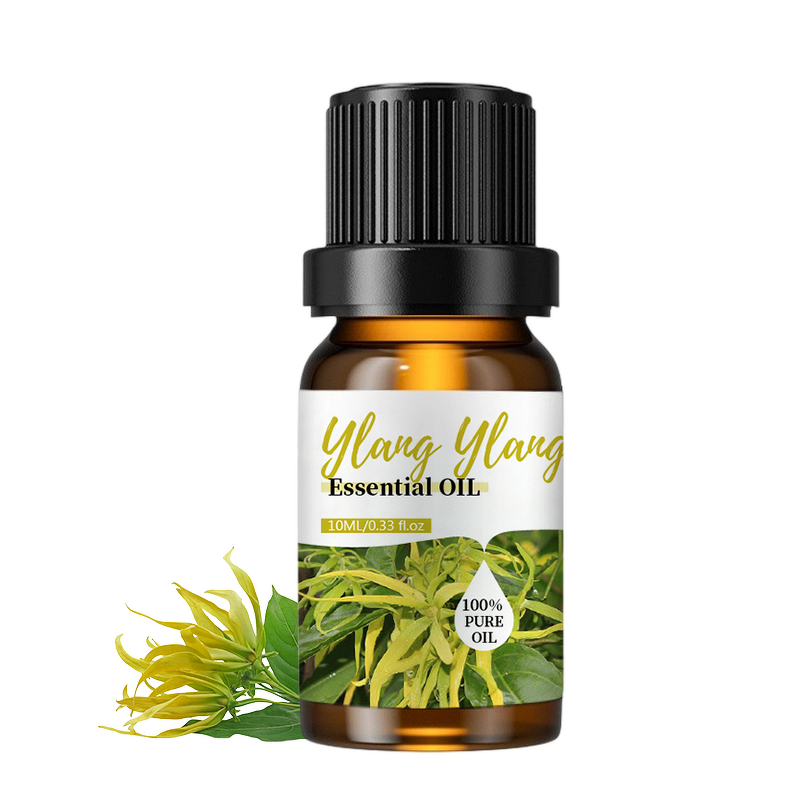 Ylang Ylang Oil Manufacturer - 10ml Bottled Cosmetic Grade for Relaxing Aromatherapy and Skin