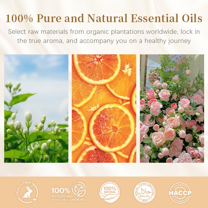 Essential Oil Gift Set Manufacturer - Organic Certified 10ml Bottles 100% Natural Plant Extract