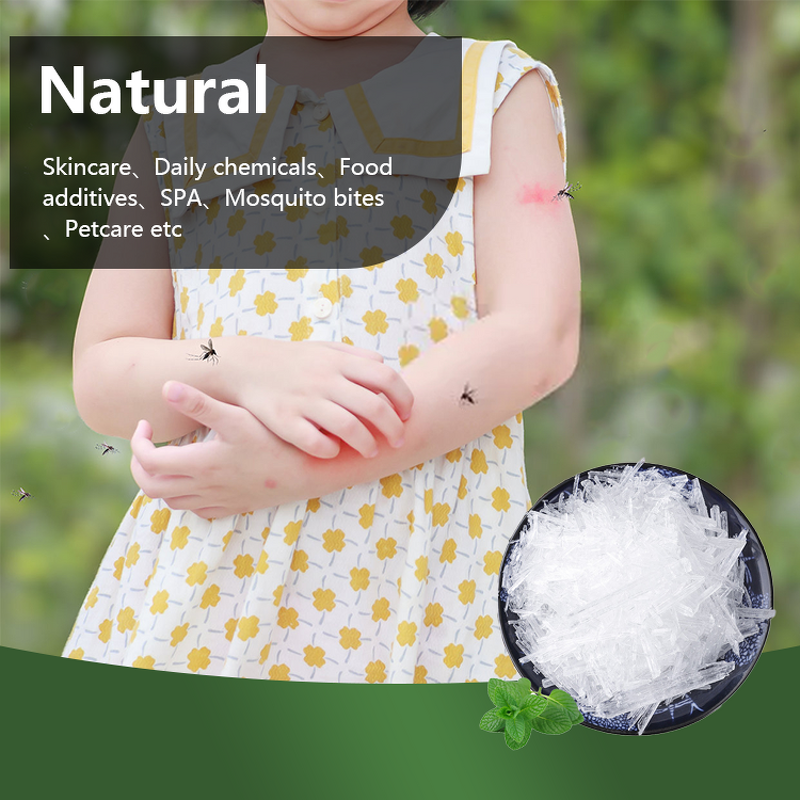 Menthol Crystals Manufacturer - Factory Wholesale 100% Pure Natural Industrial Flavor Bulk