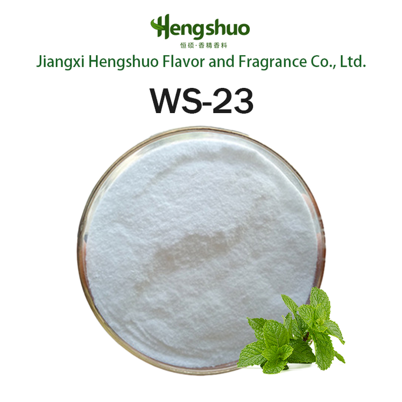 WS-23 Powder Manufacturer - Wholesale Mint Fragrance White Food Grade Cooling Agent for Industrial Flavor