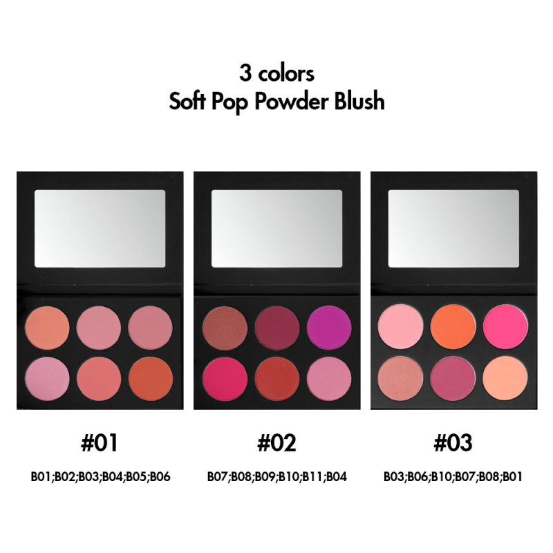 Blusher Palette Supplier - 6-Color Matte Pearlescent Powder