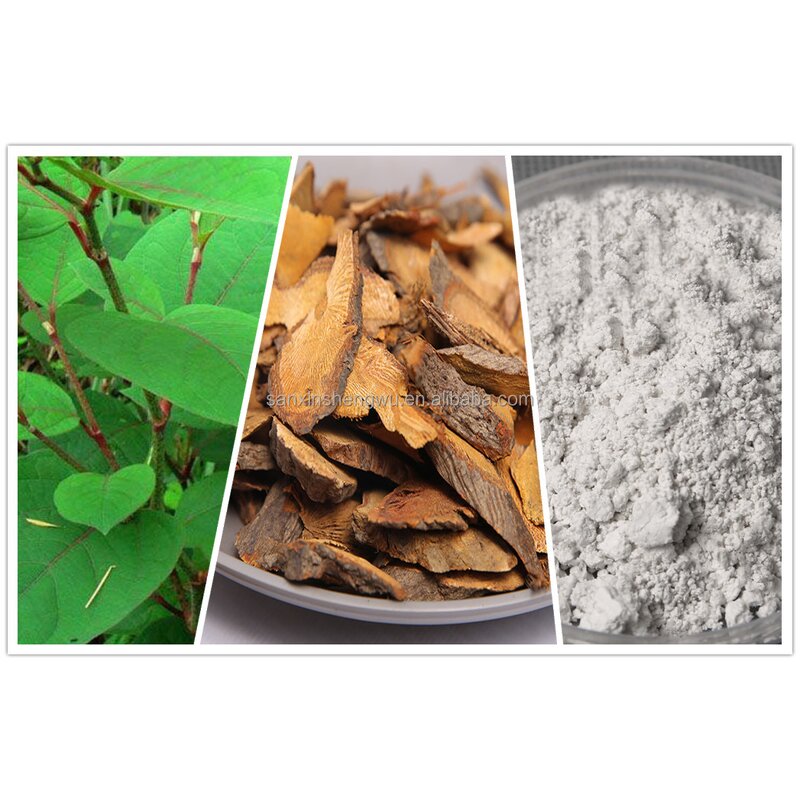 NMN Resveratrol Capsules Manufacturer - Polygonum Cuspidatum Extract Anti-Aging & Private Label