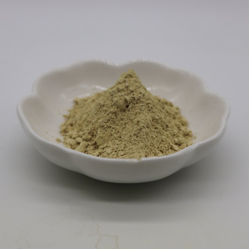 Hydroxytyrosol Powder Manufacturer - 70% Oleuropein from Olive Leaf & Wholesale