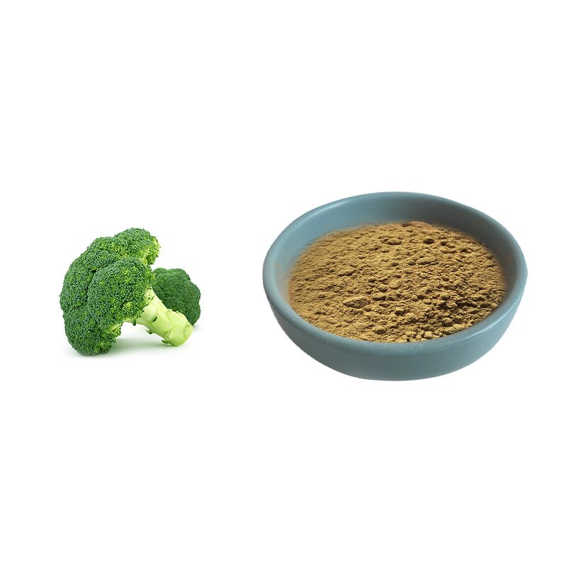 Black Bean Peel Extract Manufacturer - 25% Anthocyanins & Factory Price