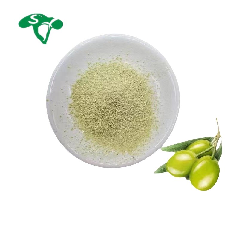 Hydroxytyrosol Powder Manufacturer - 70% Oleuropein from Olive Leaf & Wholesale