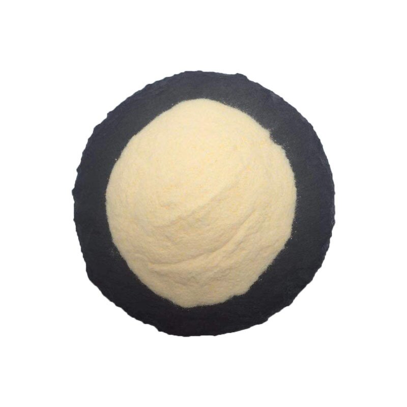 Orange Fruit Powder Manufacturer - 100% Spray Dried Concentrate & Sanxin