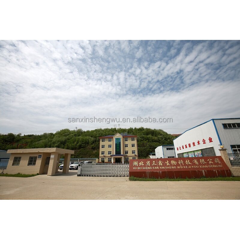 Lion's Mane Mushroom Powder Manufacturer - Hericium Erinaceus Natural Pure & Factory