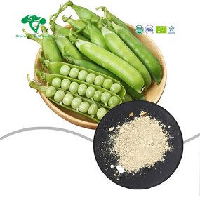 Broccoli Powder Manufacturer - 1% Sulforaphane Seed Extract Natural & Wholesale
