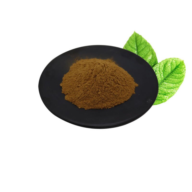 Lion's Mane Mushroom Powder Manufacturer - Hericium Erinaceus Natural Pure & Factory