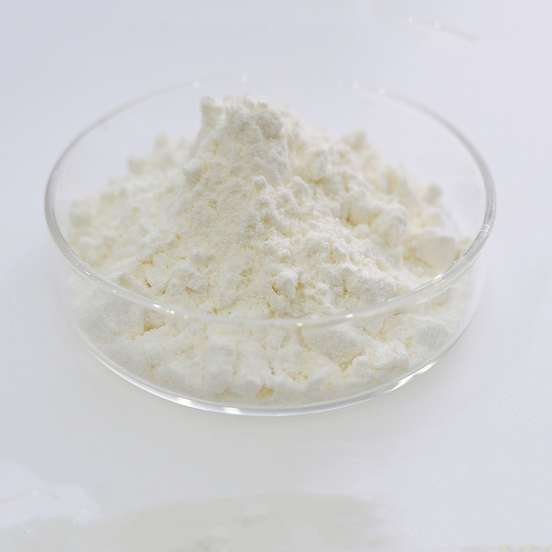 Whey Isolate Protein Powder Manufacturer - WPI for Muscle Growth & Wholesale